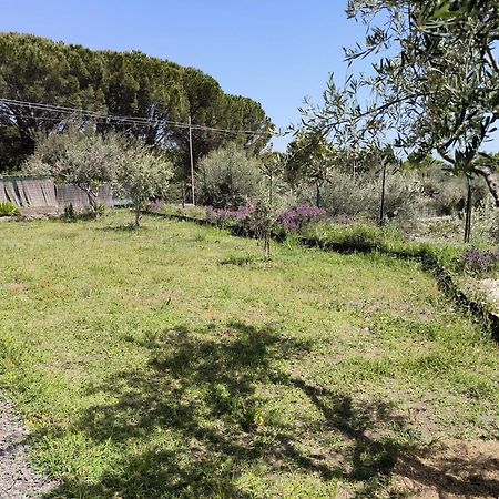 Villa Egle Belpasso, Villa Vacanza Con Piscina Extérieur photo